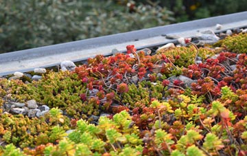the cost of Caerau green roof installation