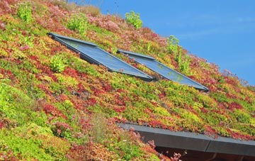 Caerau living roof systems
