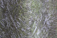 Caerau fibreglass roof work